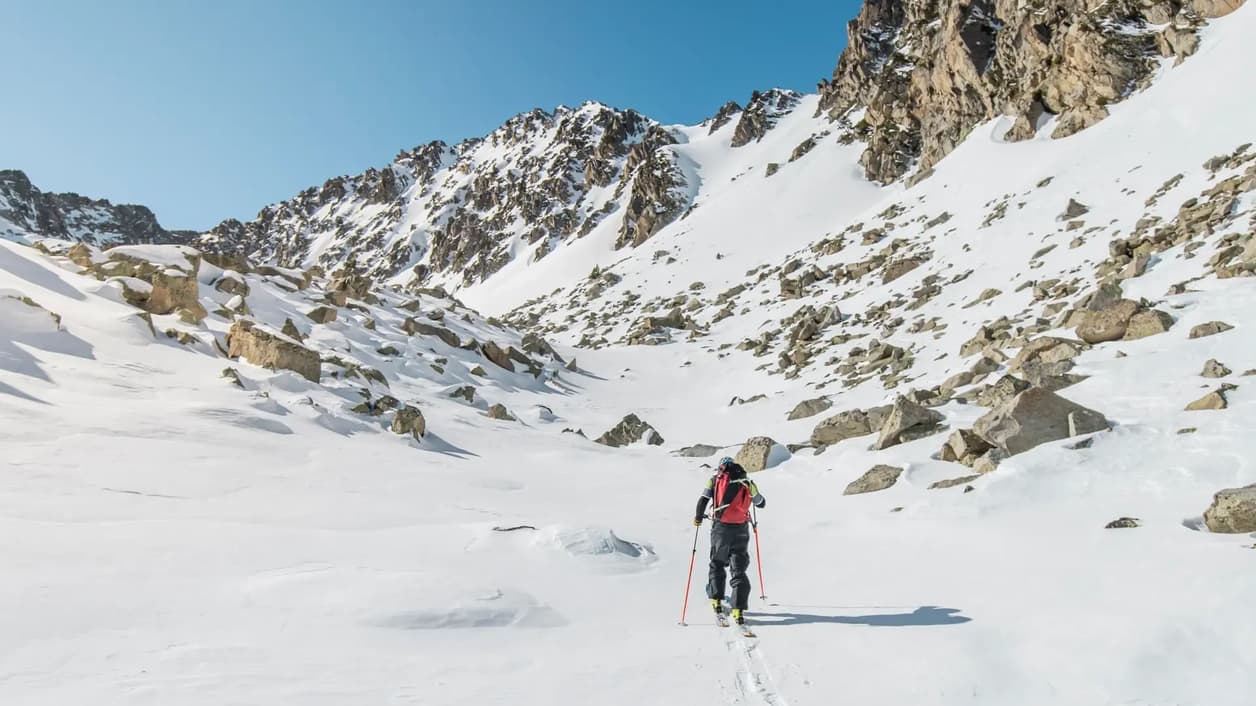 The best VCs stay on top. Will AI keep it that way?