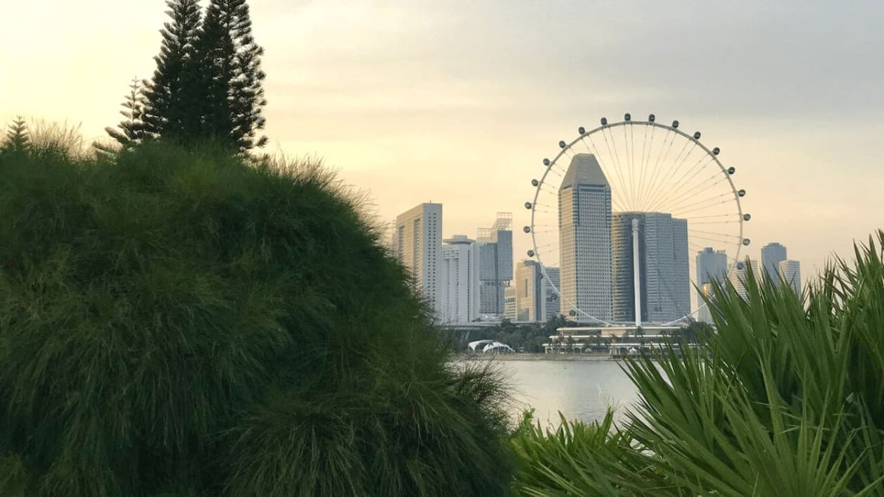 Moonfare launches in Singapore and expands  foothold in all major financial hubs in the world