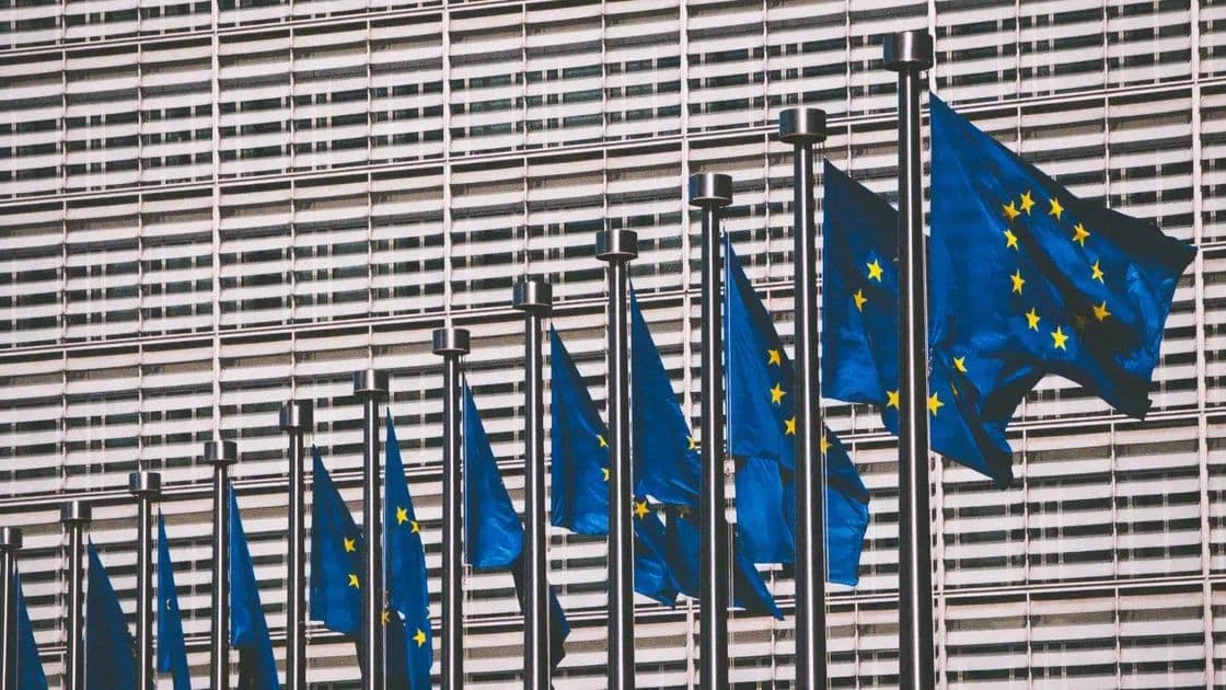 665de6f75140381a48ee05c4_European elections_1